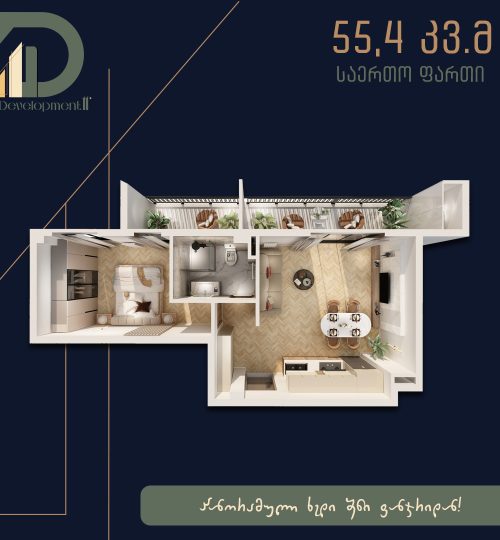 55.4კვ